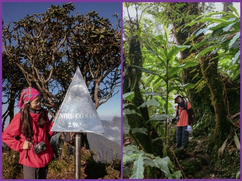 Đi trekking mặc gì