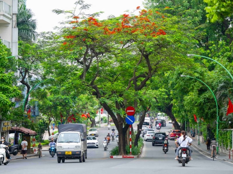 địa điểm chụp ảnh mùa thu hà nội