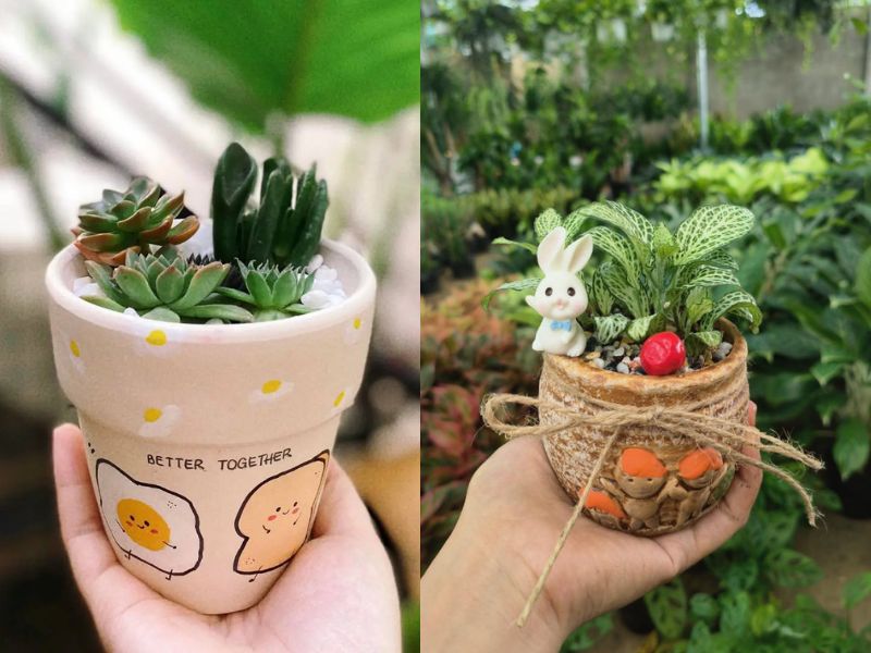 tặng chậu cây mini cho các bạn nữ