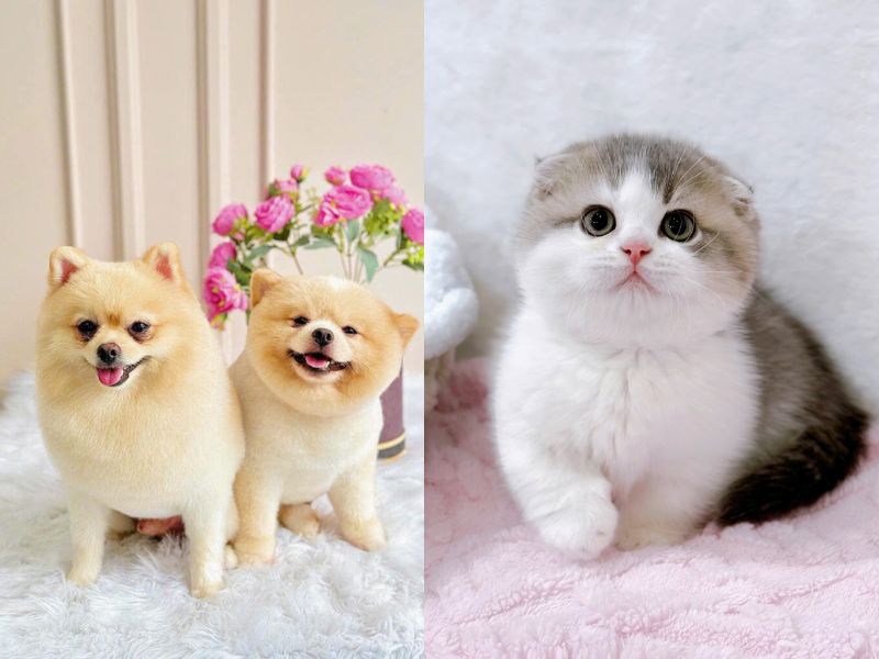 quà tặng sinh nhật cho bạn gái