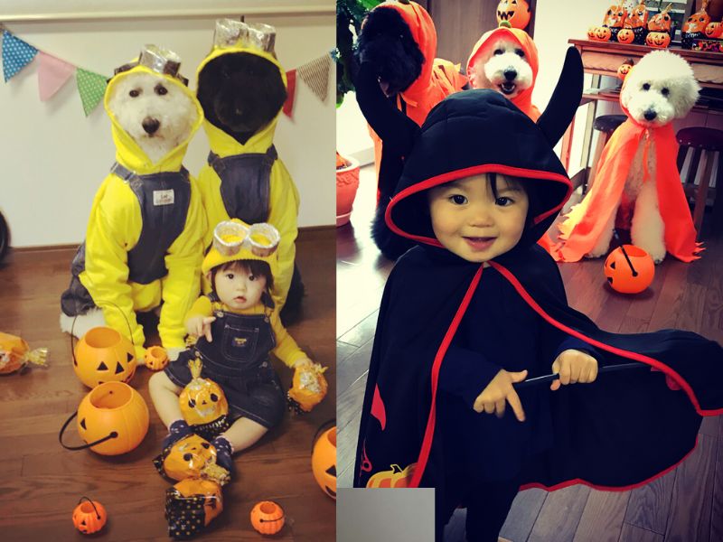 chụp ảnh halloween chụp ảnh cho bé cùng thú cưng hóa trang