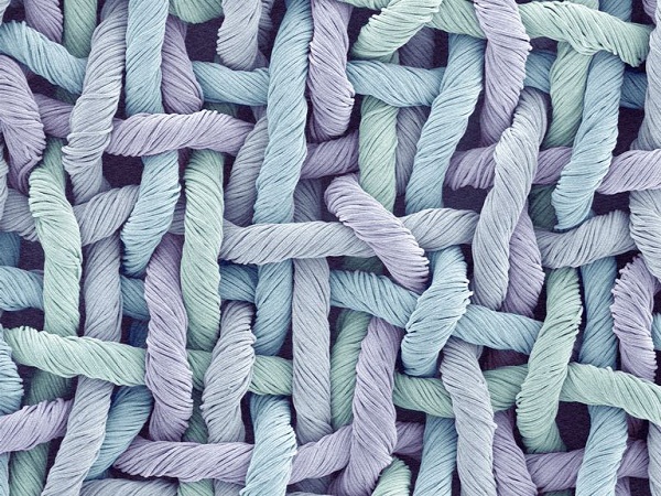 Cấu tạo của sợi vải polyester