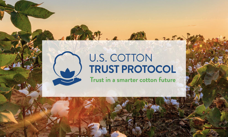 chứng nhận cotton usa