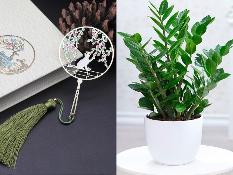 20/11 nên tặng gì cho cô giáo