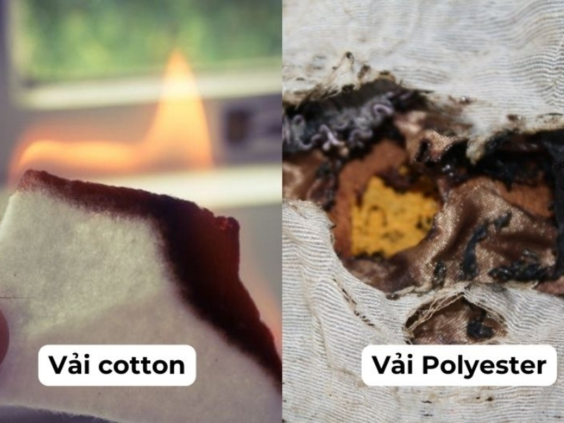 vải poly và cotton