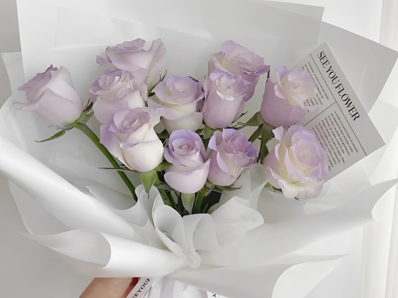 quà tặng 20/11 cho người yêu quà tặng 20/11 cho người yêu