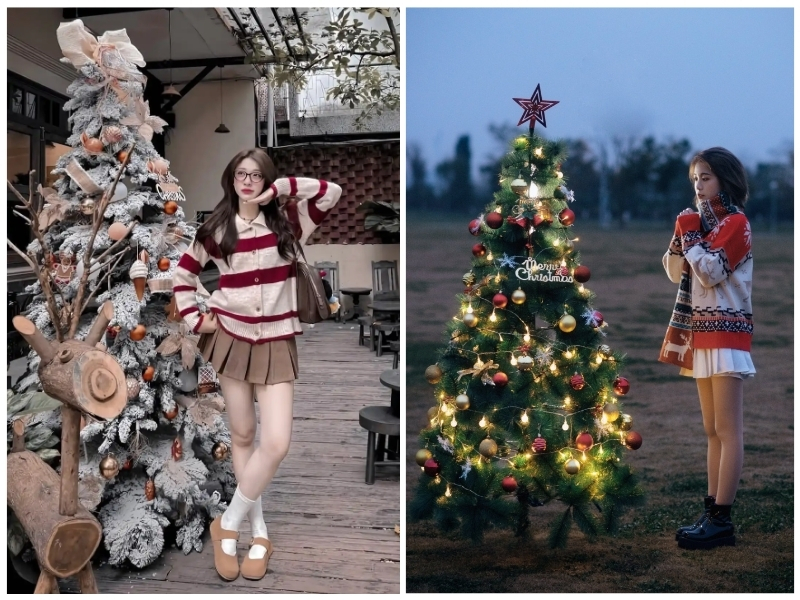 chụp ảnh với cây thông noel