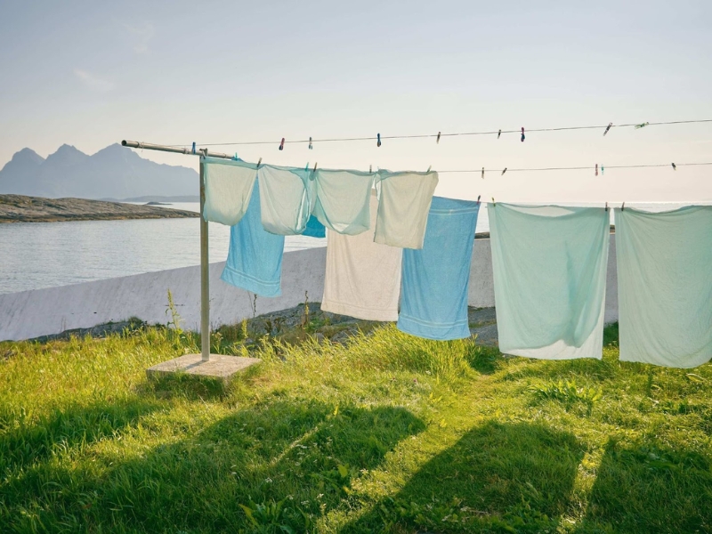 vải sorona là gì