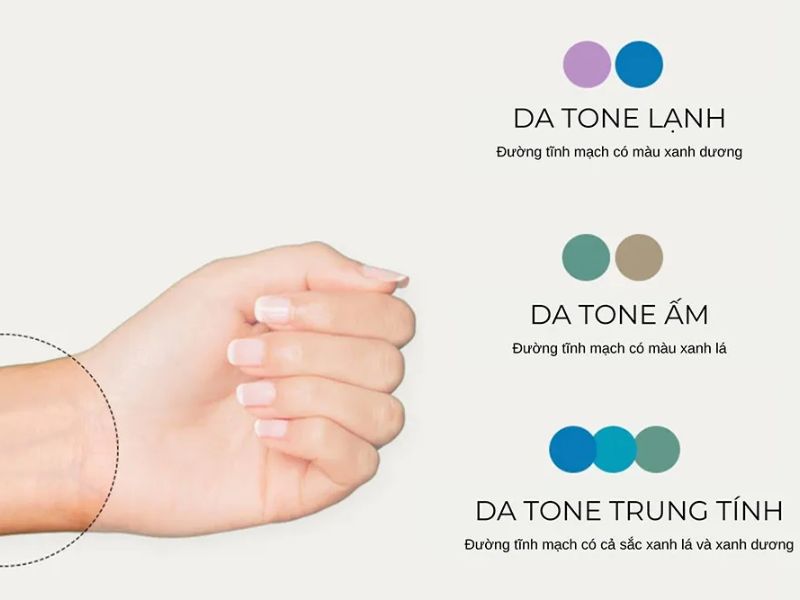 Xác định sắc tố da khi phối màu