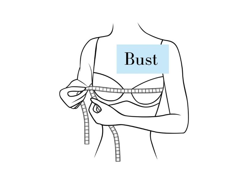 bust là gì