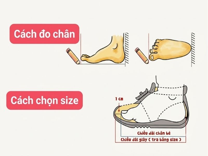 cách đo size giày